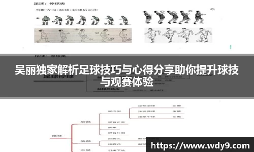 bsports必一体育