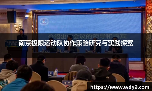 南京极限运动队协作策略研究与实践探索