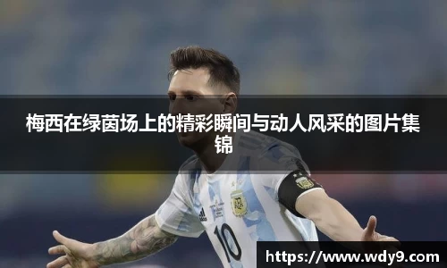 必一bsports体育